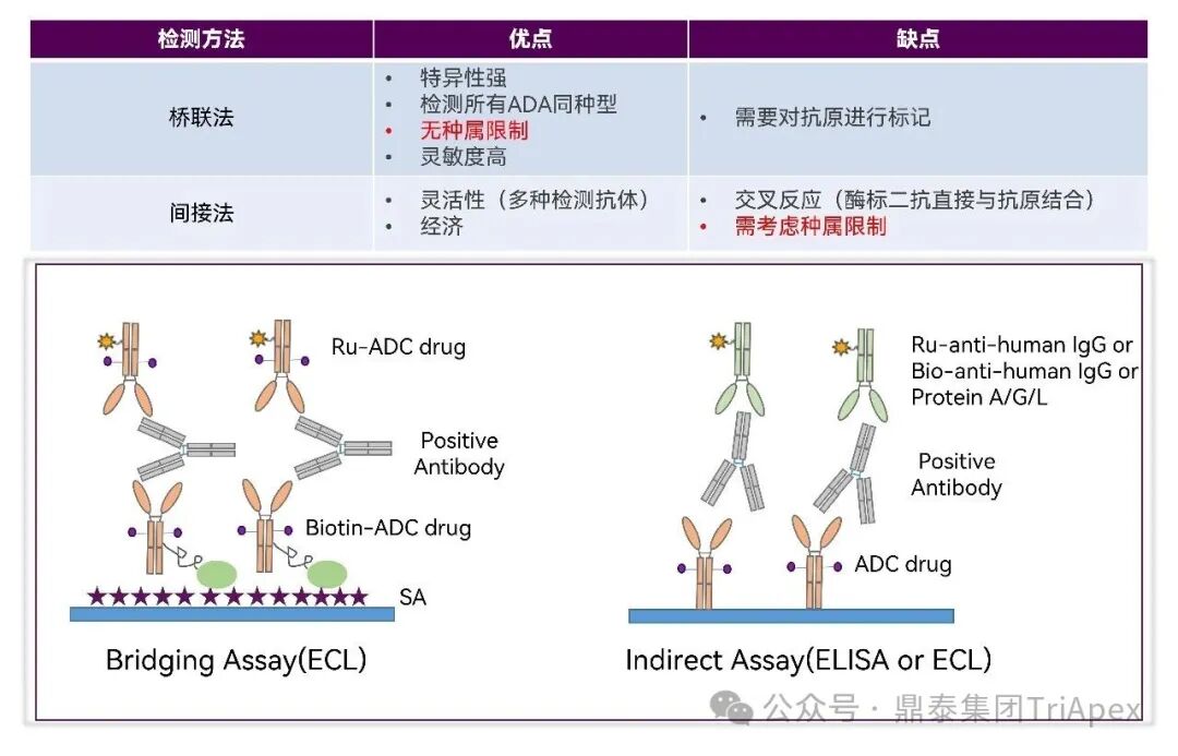 From Single Target to Multidimensional Breakthrough: The New Landscape and Strategic Evolution of Next-Generation ADC Drug Bioanalysis