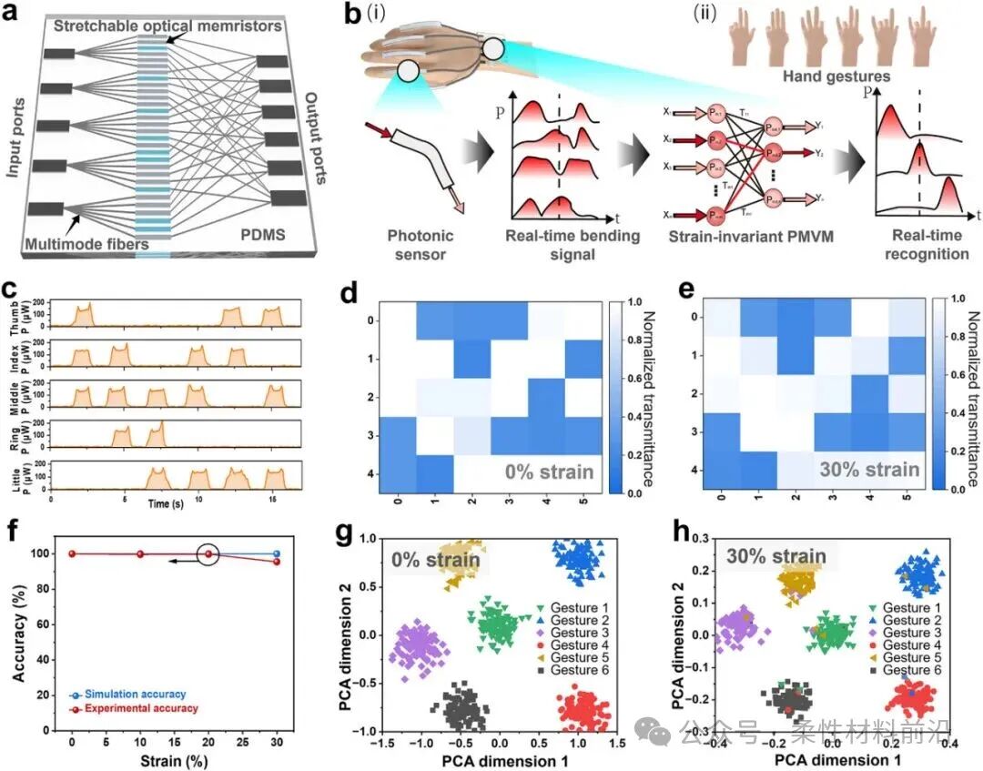 Stretchable Hydrogel Optical Memristor for Photonic Near-Sensor Neuromorphic Skin