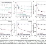 Surface Functionalized Sensors for Humidity-Independent Gas Detection