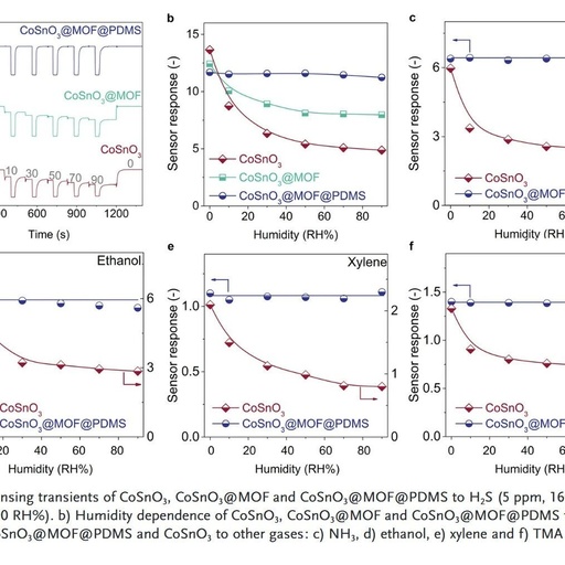 Surface Functionalized Sensors for Humidity-Independent Gas Detection