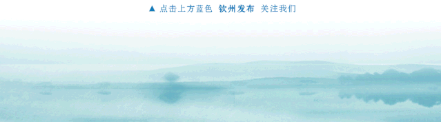 Breakthrough! 'Made in Qinzhou' Underwater Robot Achieves Mass Production