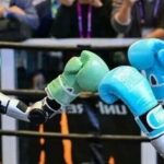 Humanoid Robots: An Economic Bill That Can't Be Counted
