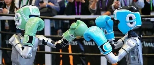 Humanoid Robots: An Economic Bill That Can't Be Counted