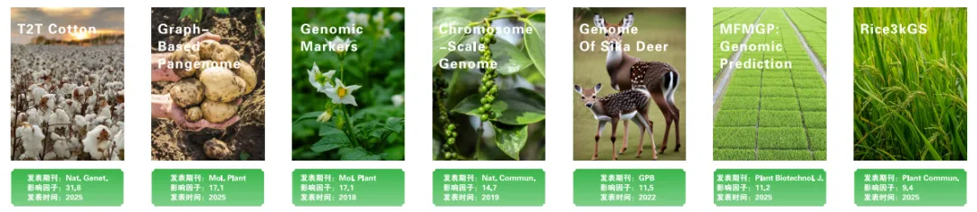 New Product Launch! MultiTrait BSA Achieves Simultaneous Gene Mapping for Multiple Traits, Breaking Through Breeding Efficiency Bottlenecks