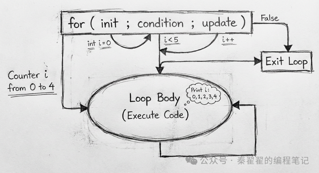 Day 7 of C Language: Loops = Making Programs Repeat Tasks