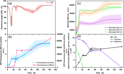 A Novel Multiparameter Sensor for Shake Flask Cultivations: Online Monitoring of Biomass, Dissolved Oxygen, and Fluorescence for Comprehensive Bioprocess Characterization
