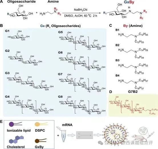 The Continuous Evolution of LNPs