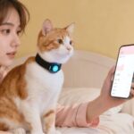 Smart Collars Enter the AI Era: Pet Intelligence Technology Provides Medical-Level Insights