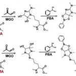 Decoding Arginine Dimethylation Isomers via pH-Tuned Reactivity with Methylglyoxal: A Chemical Approach for Functional Proteomics