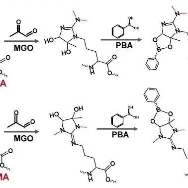 Decoding Arginine Dimethylation Isomers via pH-Tuned Reactivity with Methylglyoxal: A Chemical Approach for Functional Proteomics