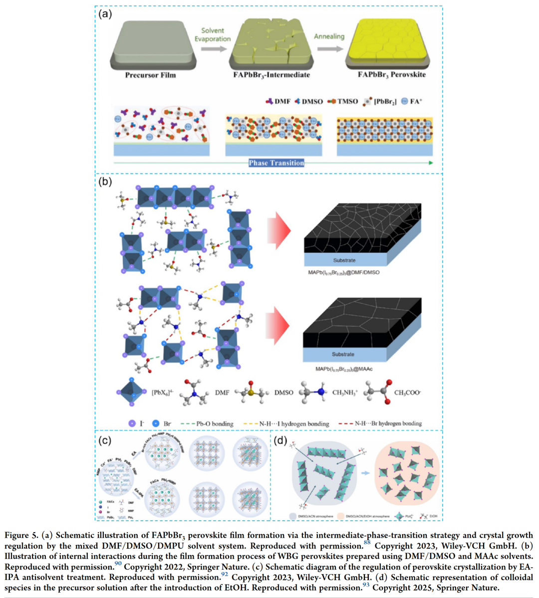 Latest AEL by Yu Shizhong from the Institute of Semiconductors, Chinese Academy of Sciences, Fang Zebao from Shaoxing University, and Ren Kuankuan: Strategies for Enhancing the Performance of Wide Bandgap Perovskite Solar Cells and Their Stacking Applications