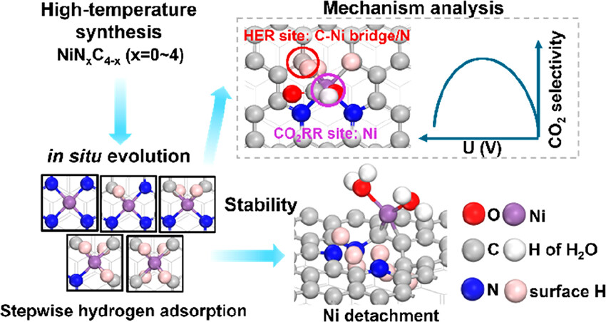Uncovering the True Active Sites in Ni−N−C Catalysts for CO₂ Electroreduction