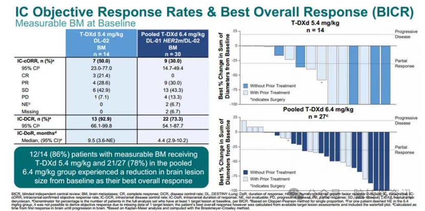 Breakthroughs in HER2-Targeted ADCs for Treating Brain Metastases in Lung Cancer: Clinical Progress from DS-8201 to SHR-A1811