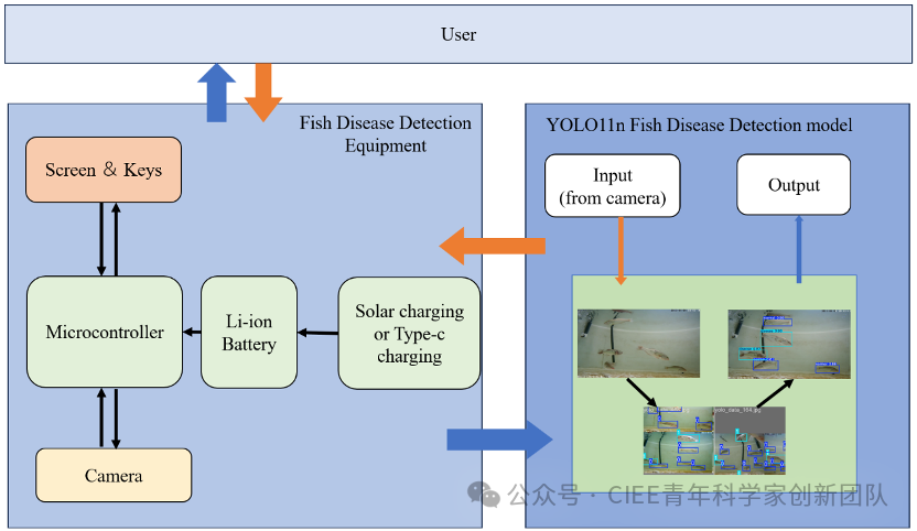 Professor Wang Yang's Research Group Achieves New Progress in Visual Detection of Fish Diseases Using TinyML