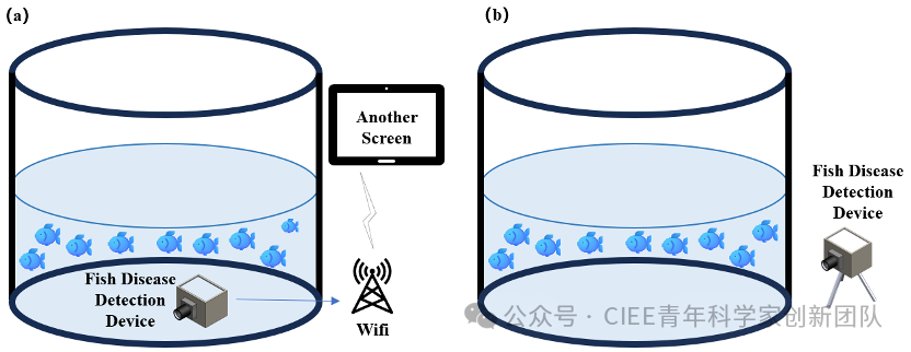 Professor Wang Yang's Research Group Achieves New Progress in Visual Detection of Fish Diseases Using TinyML