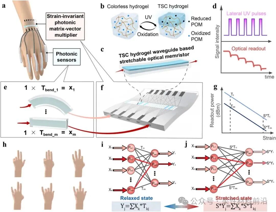 Stretchable Hydrogel Optical Memristor for Photonic Near-Sensor Neuromorphic Skin