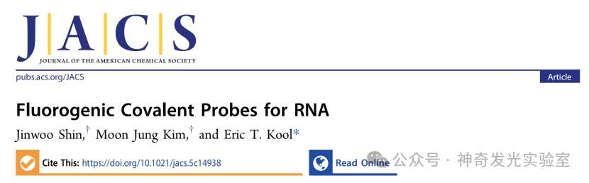 Fluorogenic Covalent Probes for RNA
