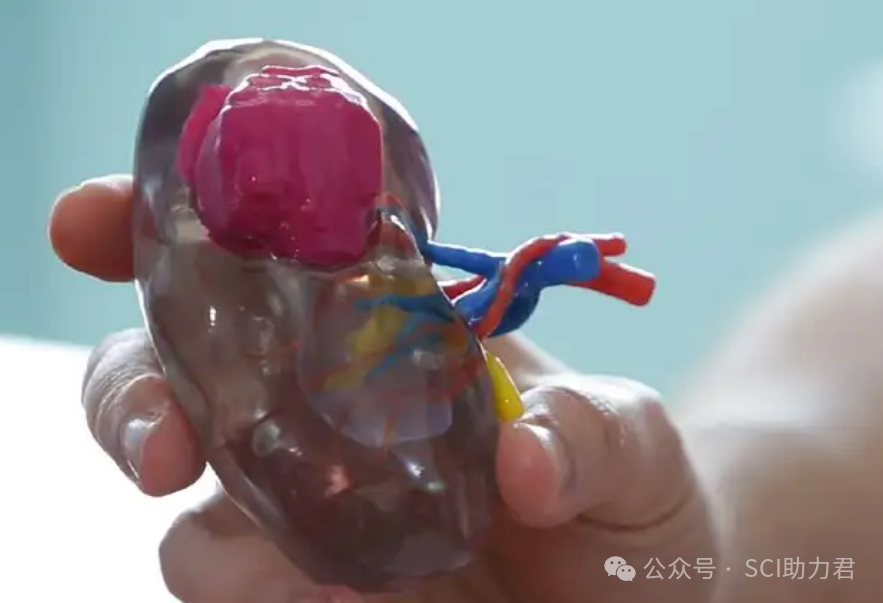 3D Printing: Can It Really Create Organs? Three Shocking Scenarios Transforming Healthcare