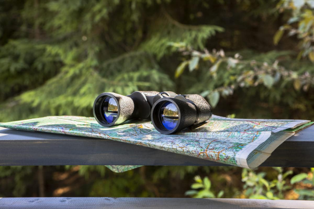 AI Algorithms and Imaging Hardware: New Innovations in Cameras by 2025