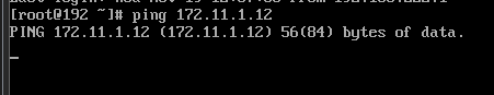 Detailed Guide to Configuring Static IP on Linux