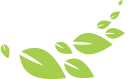 WeChat Multi-Group Broadcasting Robot: An AI-Based Automation Tool