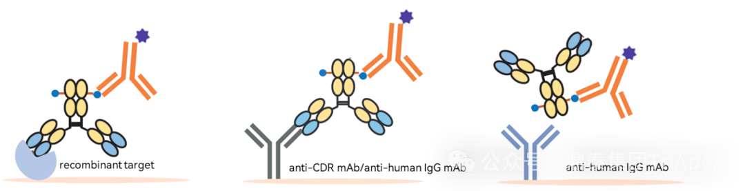 From Single Target to Multidimensional Breakthrough: The New Landscape and Strategic Evolution of Next-Generation ADC Drug Bioanalysis