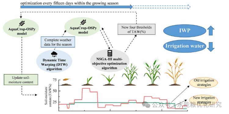 An Integrated Meteorological Adaptive Simulation-Optimization Framework for Real-Time Irrigation Scheduling Considering Perfect Weather Forecasts