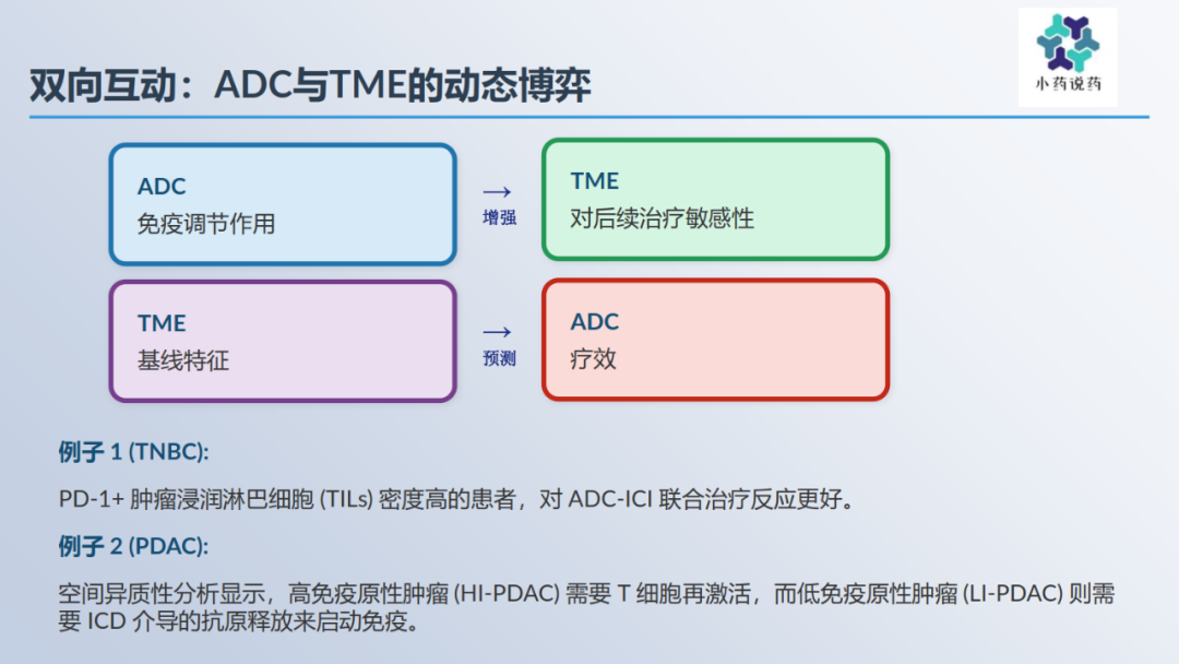 Immunomodulatory Effects of Antibody-Drug Conjugates