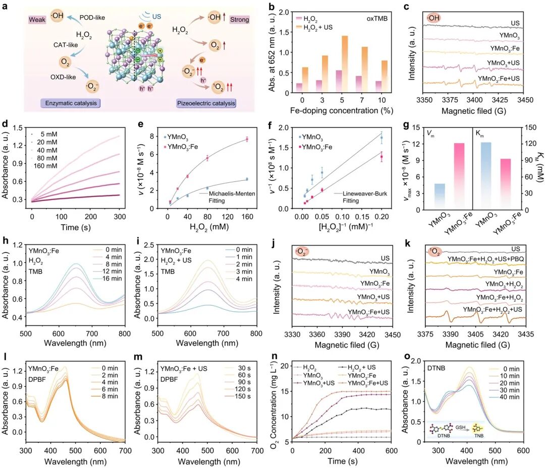 Polarization Engineering and Chemical Bond Reconstruction in Rare-Earth Hexagonal Manganite via Fe3+-Occupied B-Site Doping for Piezocatalytic Therapy and Ferroptosis