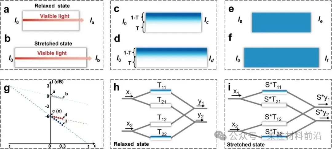 Stretchable Hydrogel Optical Memristor for Photonic Near-Sensor Neuromorphic Skin