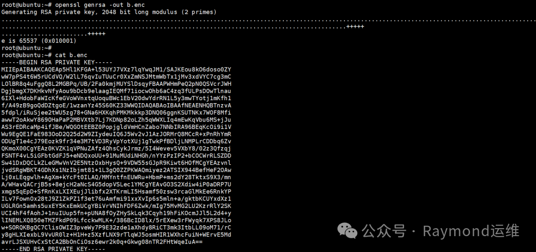 The Complete Guide to OpenSSL: The Ultimate Weapon for Secure Communication in Linux Systems