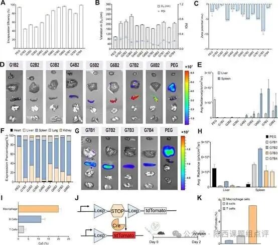 The Continuous Evolution of LNPs
