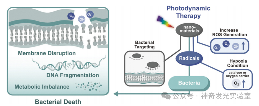Multifunctional Nanomaterials for Dental Photo-Theranostics