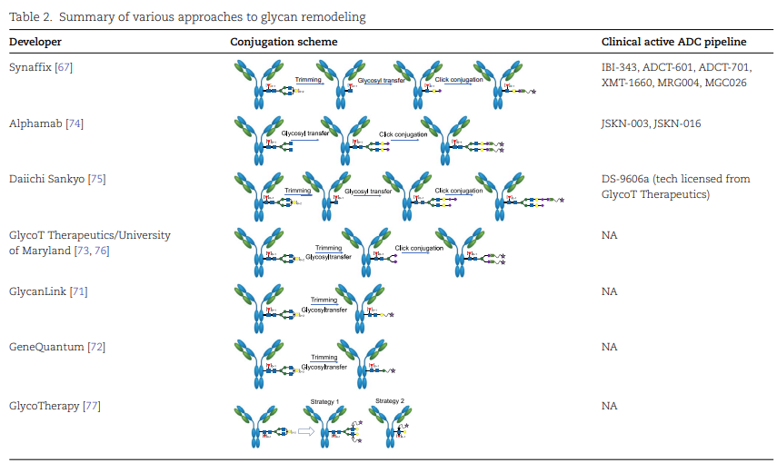 The "Connection Code" of Anti-Cancer ADCs: Unveiling the Advantages and Disadvantages of Three Coupling Technologies