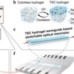 Stretchable Hydrogel Optical Memristor for Photonic Near-Sensor Neuromorphic Skin