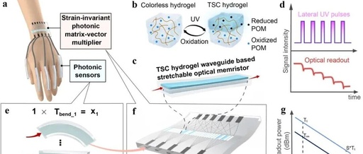 Stretchable Hydrogel Optical Memristor for Photonic Near-Sensor Neuromorphic Skin