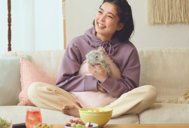Opportunities in the World's Third Largest Consumer Market: How Chinese AI Toys Tap into Japan's "Loneliness Market"?
