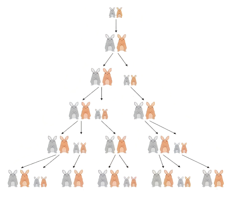 Fibonacci Sequence: From Rabbit Breeding to Algorithm Implementation