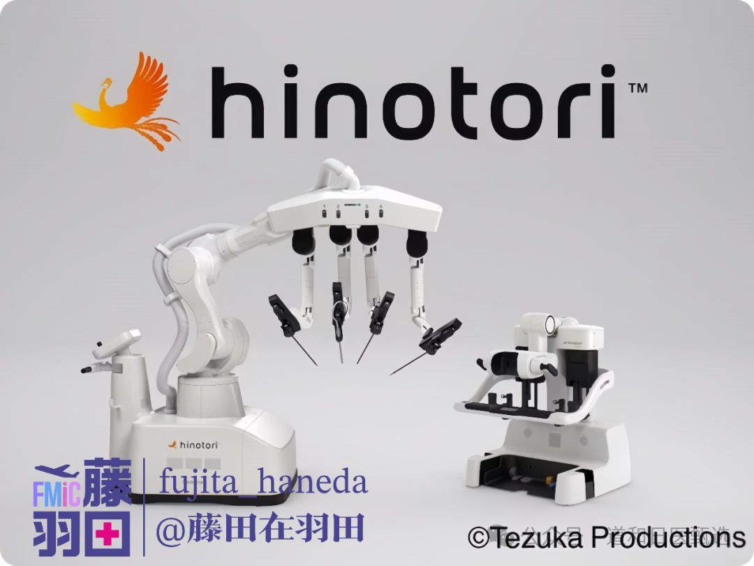 Robotic Surgery Leading the Future of Medicine: The Da Vinci Legend at Fujita Medical University Hospital
