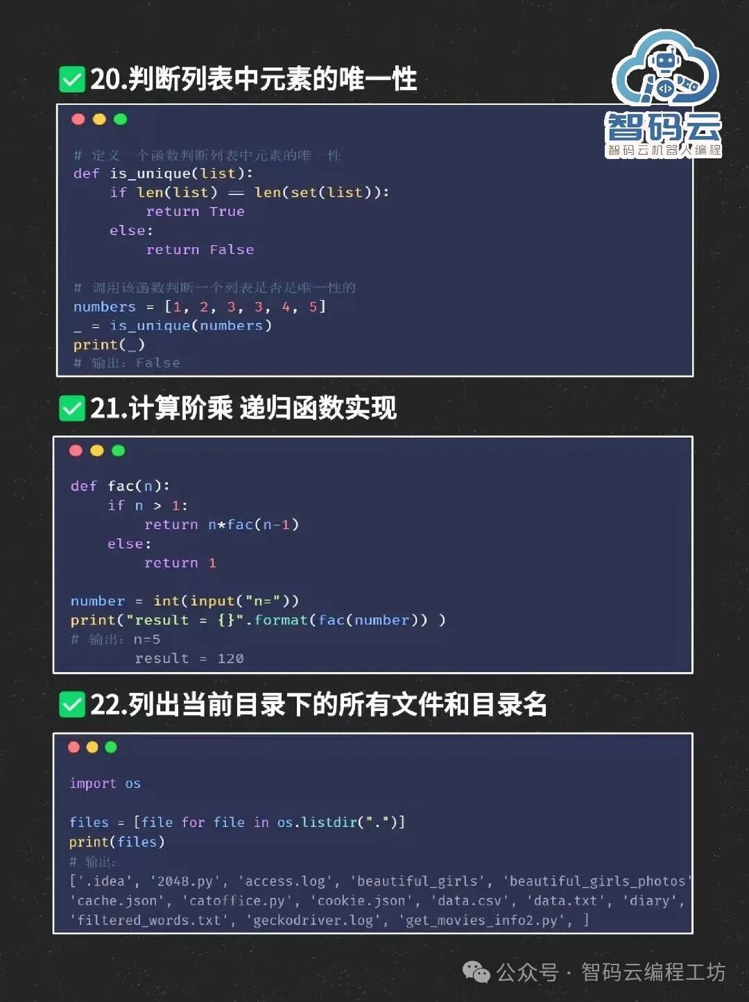 Essential Functions and Code Tips for Python
