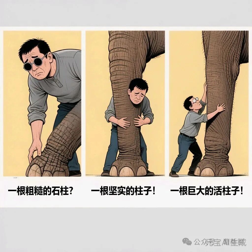Blind Men Touching an Elephant, AI and Robotics, Our Choices (Part 1)