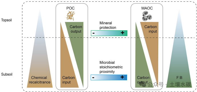 Hierarchical Drivers Shaping the Global Patterns of Soil Organic Carbon