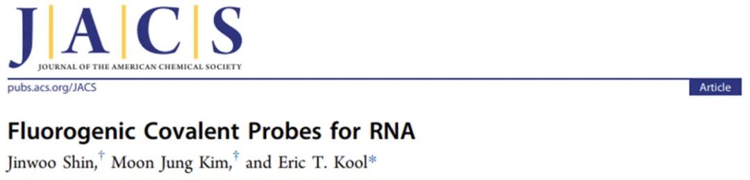 RNA Fluorescent Covalent Probes