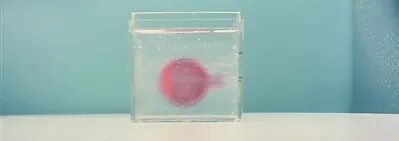 What Exactly is Biological 3D Printing?
