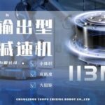 AI Robots: A New Era of Dual-Line Innovation