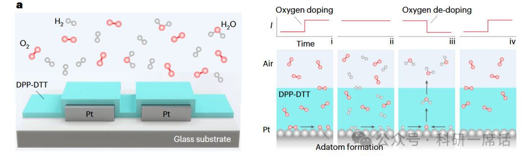 A Robust Organic Hydrogen Sensor for Distributed Monitoring Applications