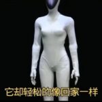 Is the Robot Actually a Living Person?