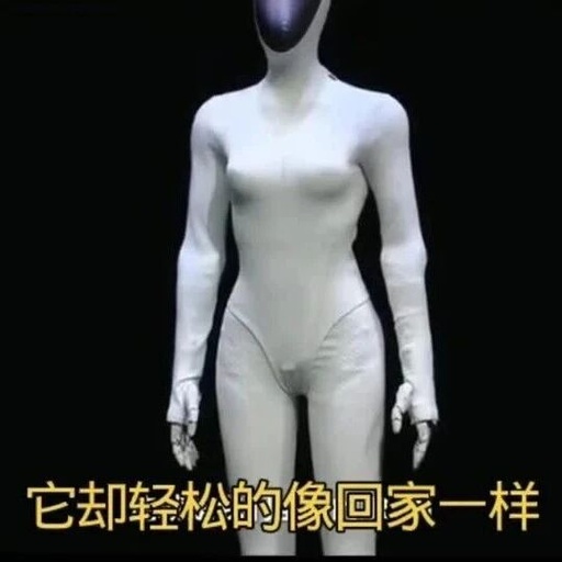 Is the Robot Actually a Living Person?