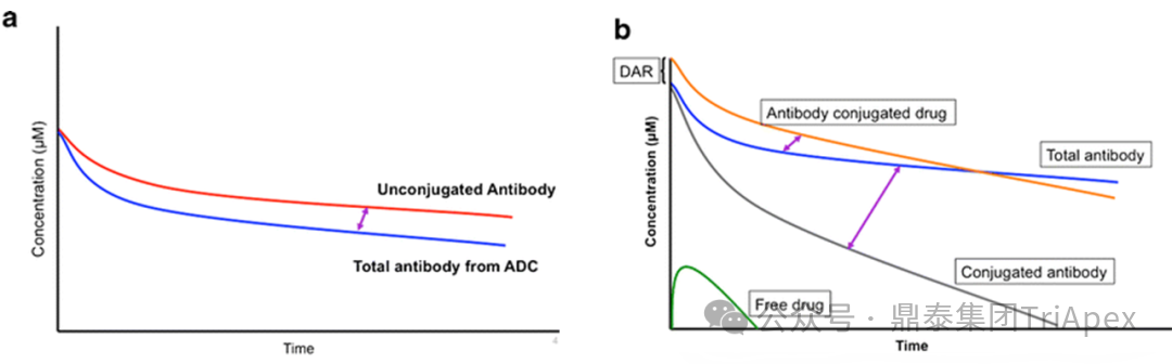 From Single Target to Multidimensional Breakthrough: The New Landscape and Strategic Evolution of Next-Generation ADC Drug Bioanalysis