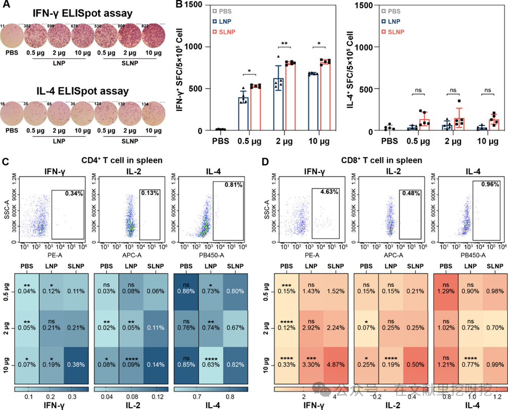 Engineering Thiol-Mediated Uptake Lipid Nanoparticles: Breaking Endosomal Barriers for Enhanced mRNA Expression